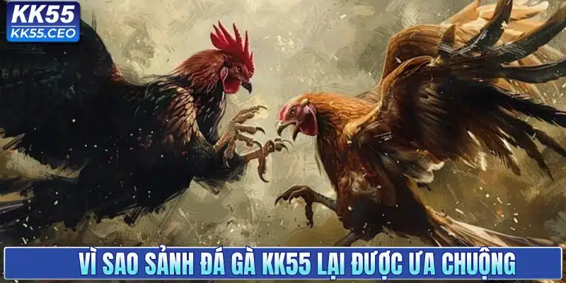 Vì sao sảnh đá gà KK55 lại được ưa chuộng